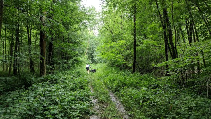 IMG_20180612_163628 (1).jpg