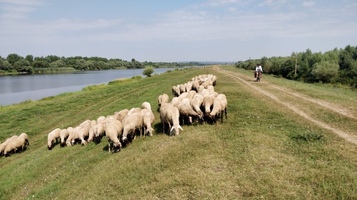 img_20180805_0950171